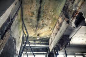 Asbestos and Lead Testing During Mold Inspection in Ocean City, MD